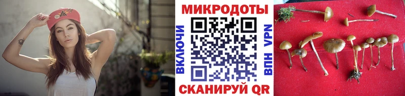 Псилоцибиновые грибы Magic Shrooms  Нальчик 